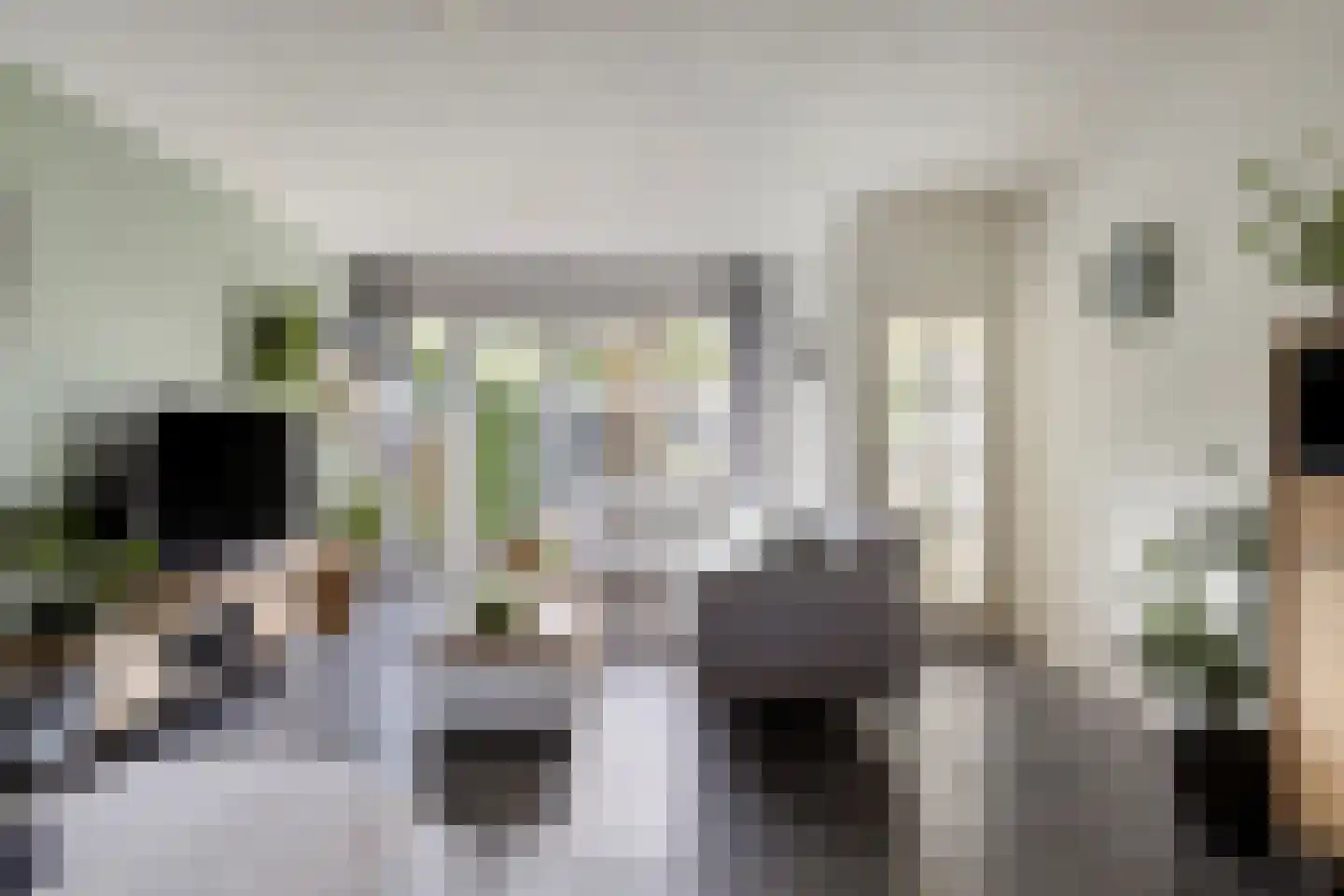 Van Hallstraat 24 Goes thumbnail 20