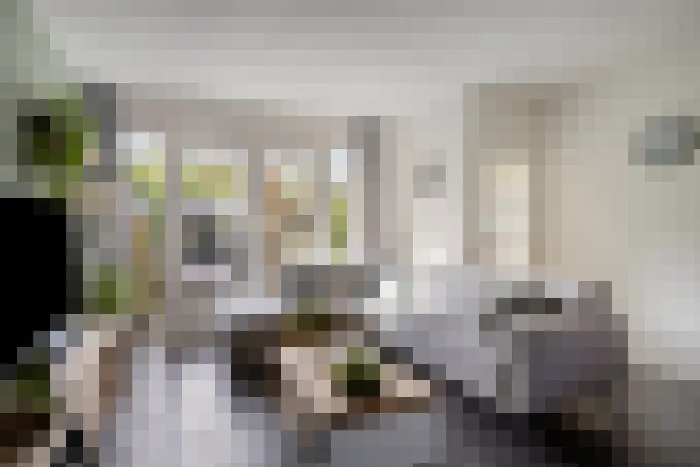 Van Hallstraat 24 Goes thumbnail 21