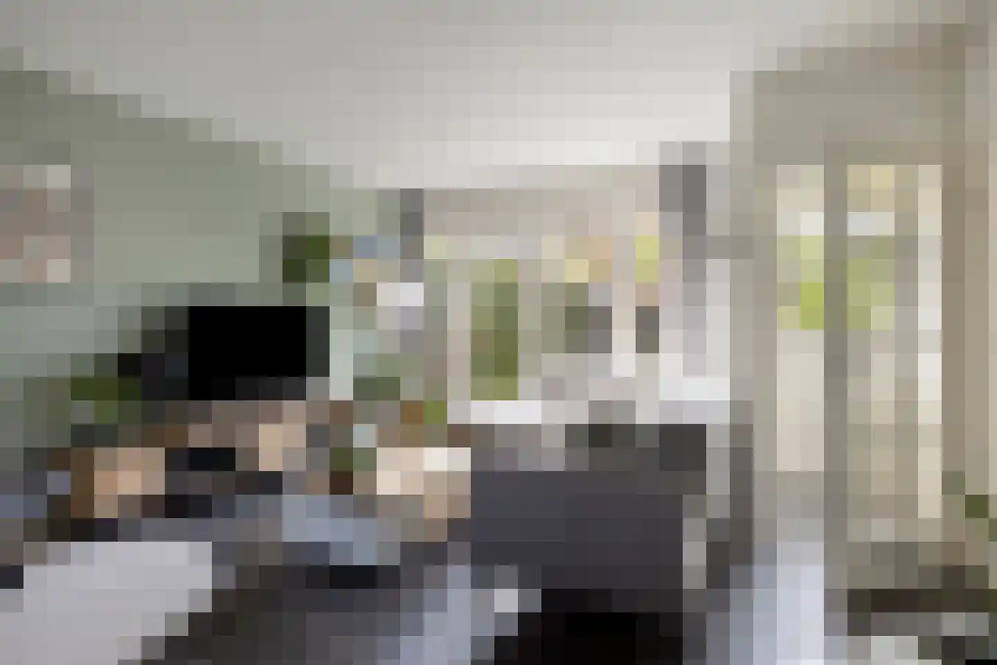 Van Hallstraat 24 Goes thumbnail 22