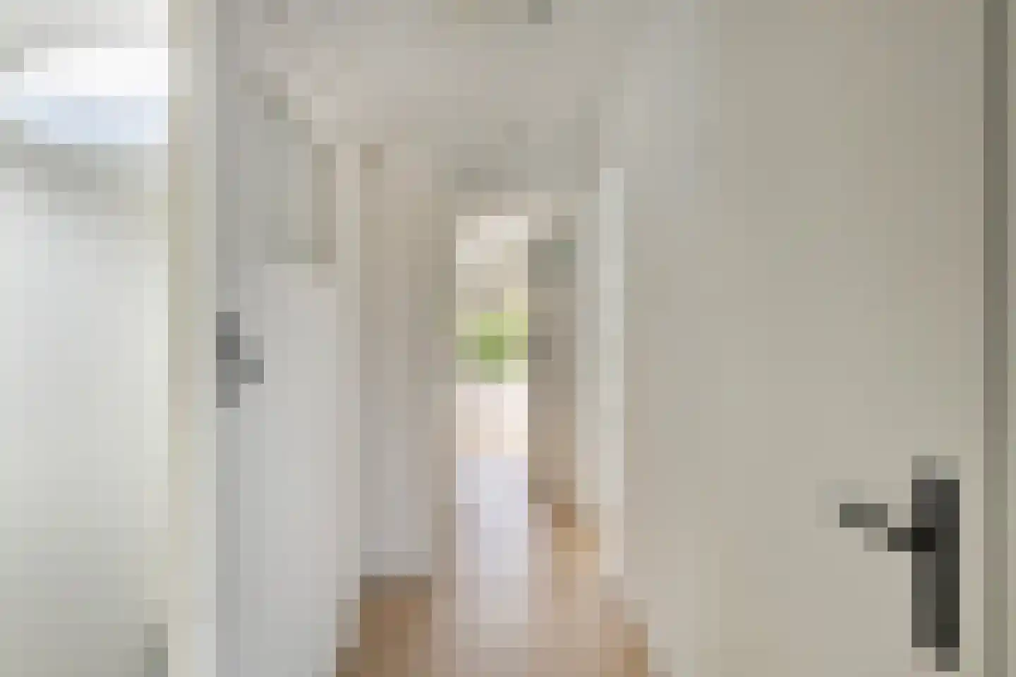 Van Hallstraat 24 Goes thumbnail 28