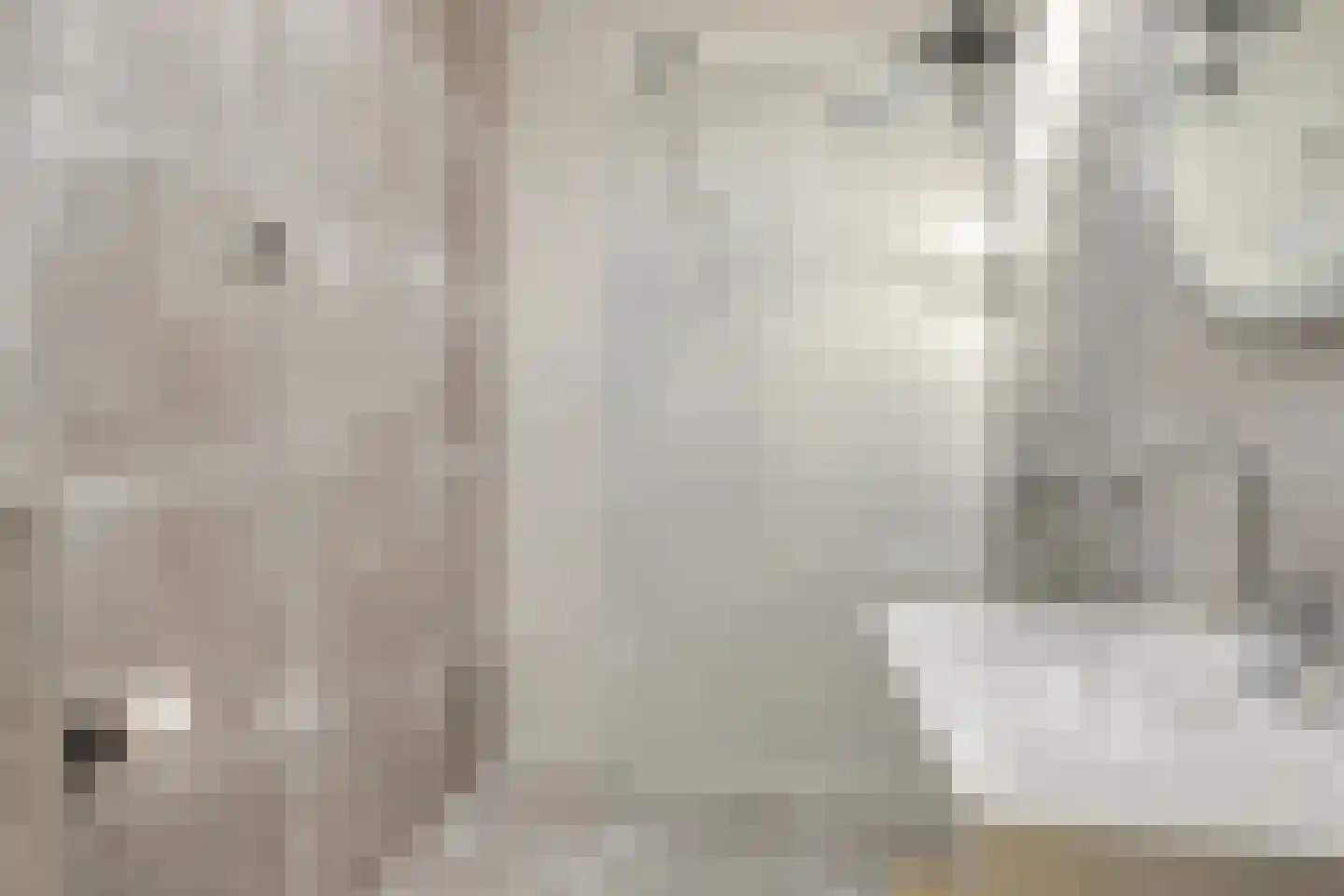 Van Hallstraat 24 Goes thumbnail 33