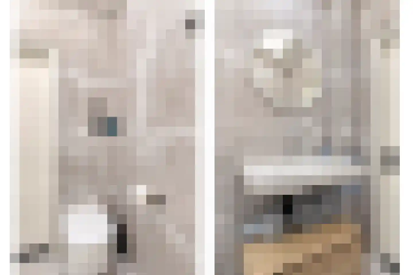 Van Hallstraat 24 Goes thumbnail 34