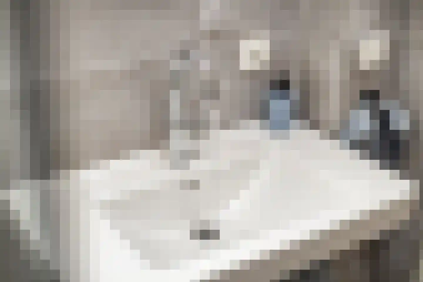 Van Hallstraat 24 Goes thumbnail 36