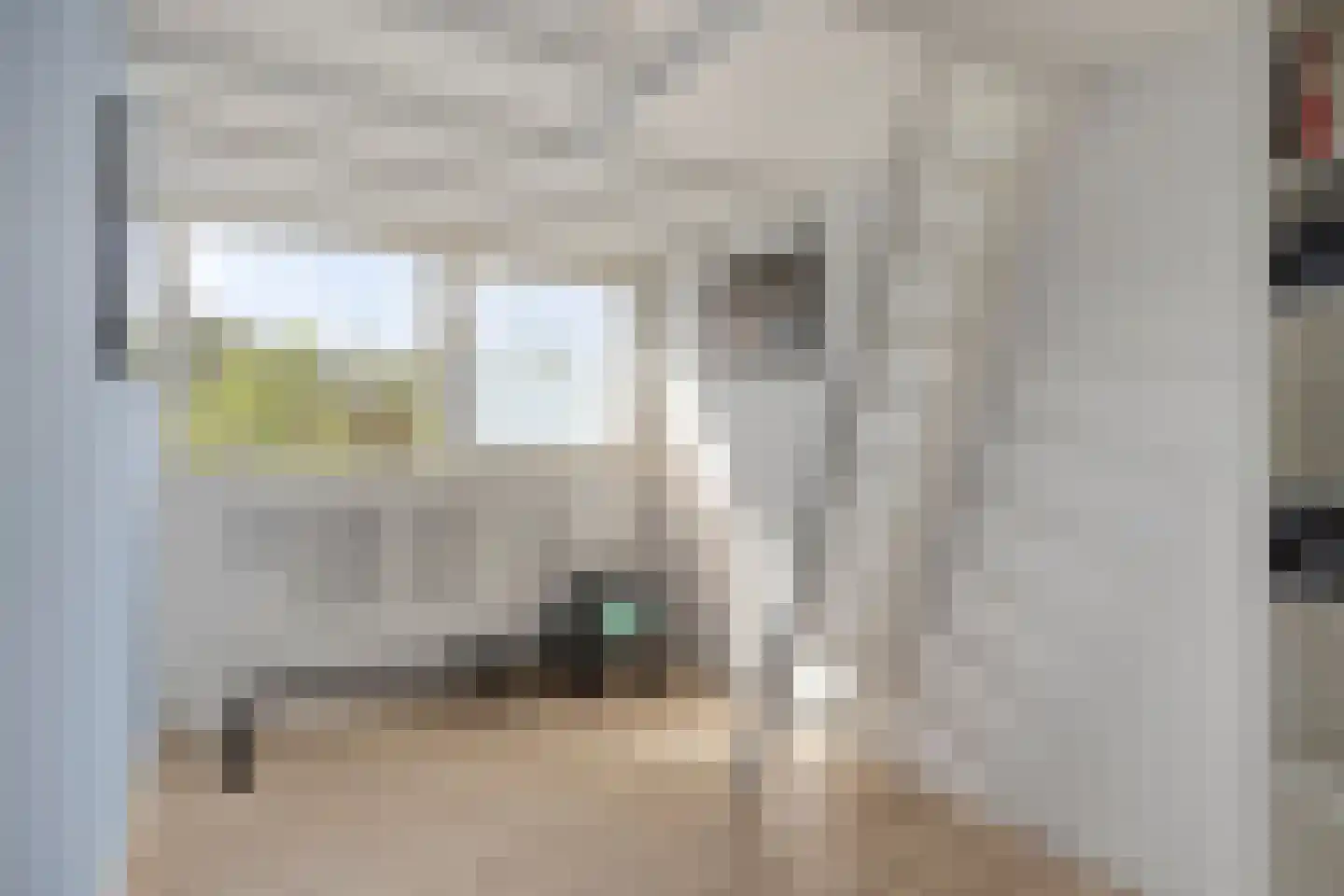Van Hallstraat 24 Goes thumbnail 38