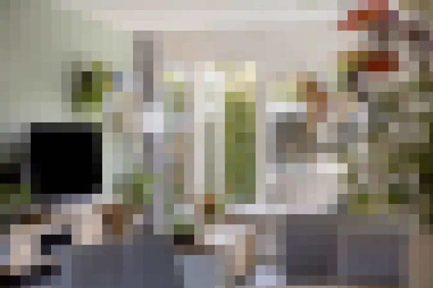 Van Hallstraat 24 Goes thumbnail 4