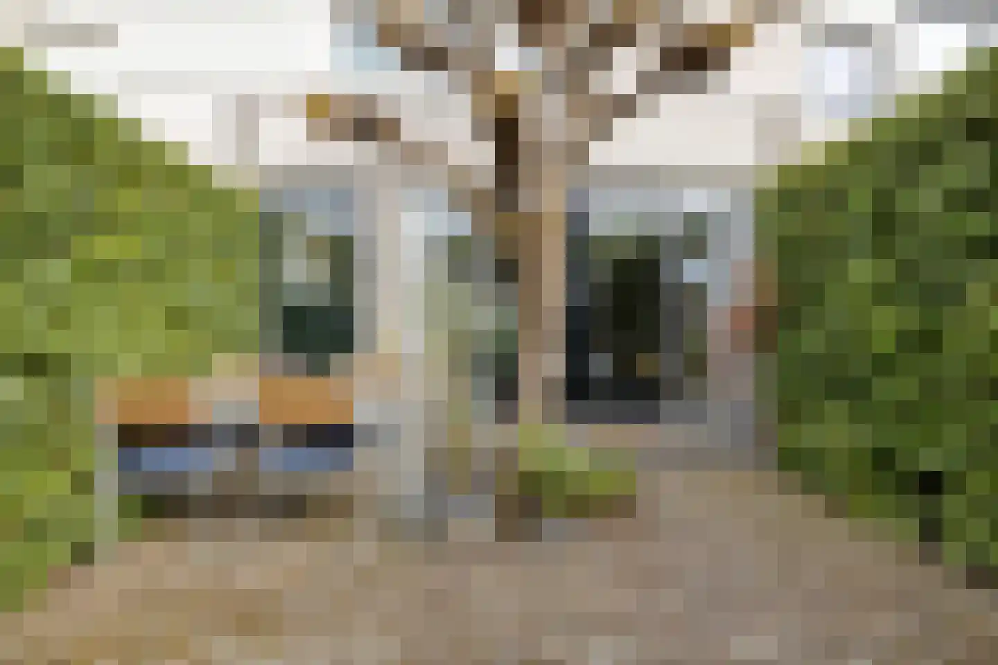 Van Hallstraat 24 Goes thumbnail 41