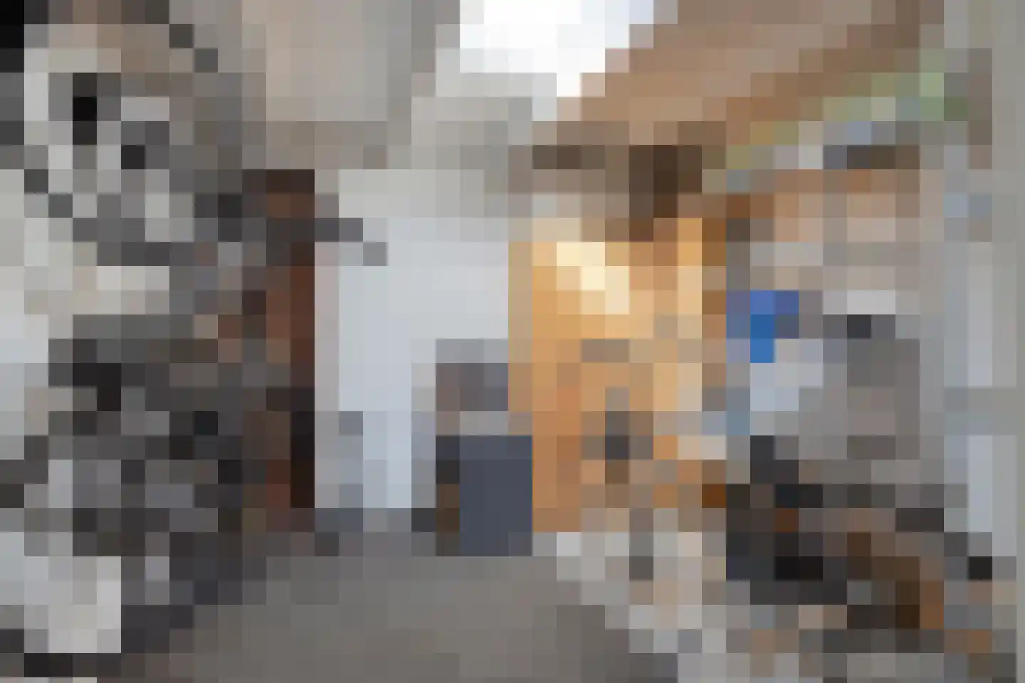 Van Hallstraat 24 Goes thumbnail 46