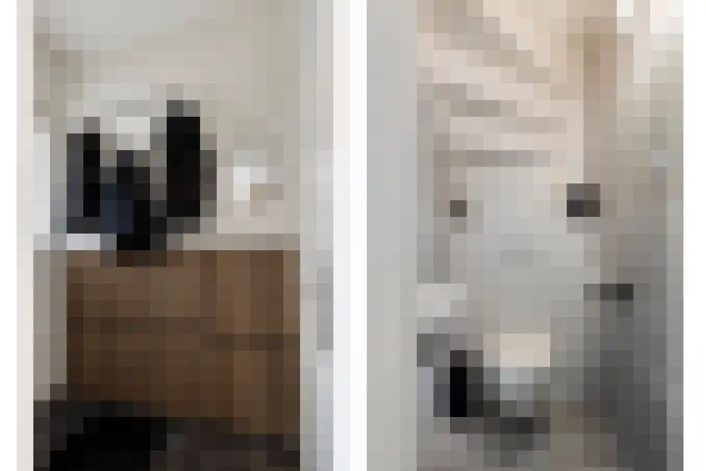Van Hallstraat 24 Goes thumbnail 6