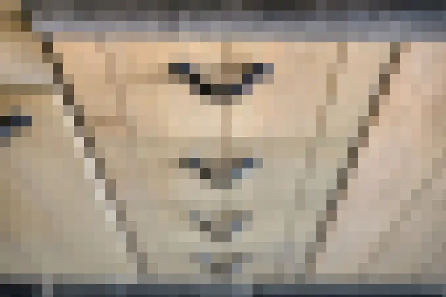 Van Hallstraat 24 Goes thumbnail 8