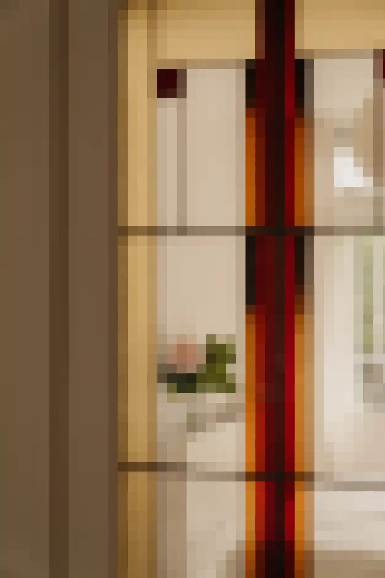Van Hallstraat 240 Amsterdam thumbnail 13