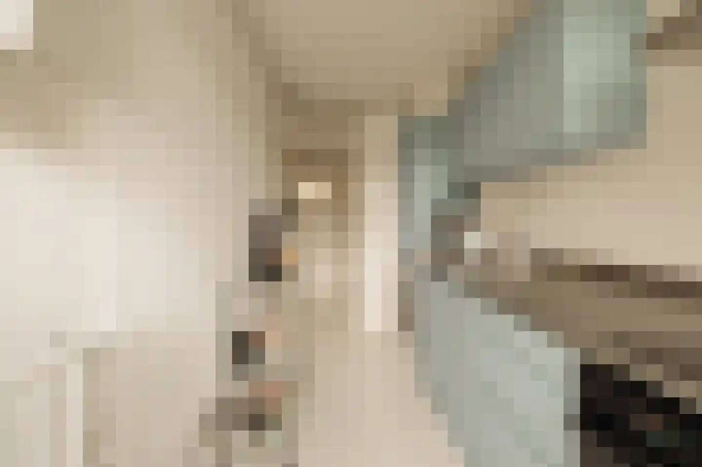 Van Hallstraat 240 Amsterdam thumbnail 15