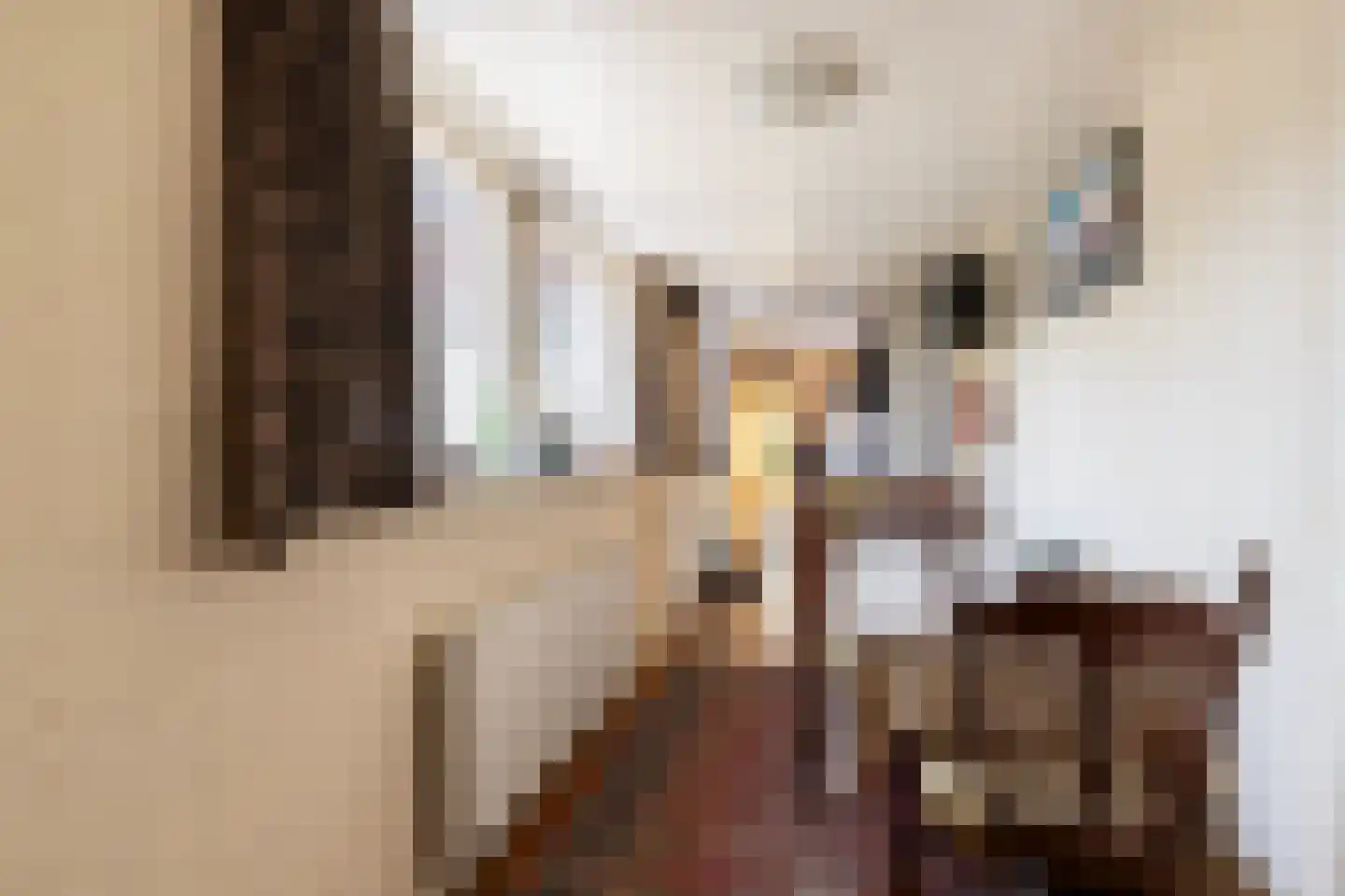 Van Hallstraat 26 Nunspeet thumbnail 11