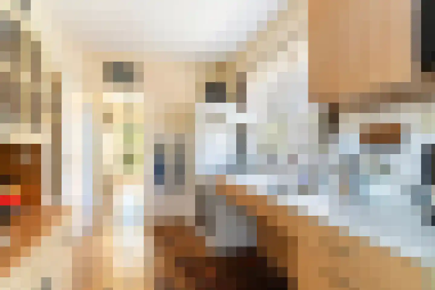 Van Hallstraat 26 Nunspeet thumbnail 13
