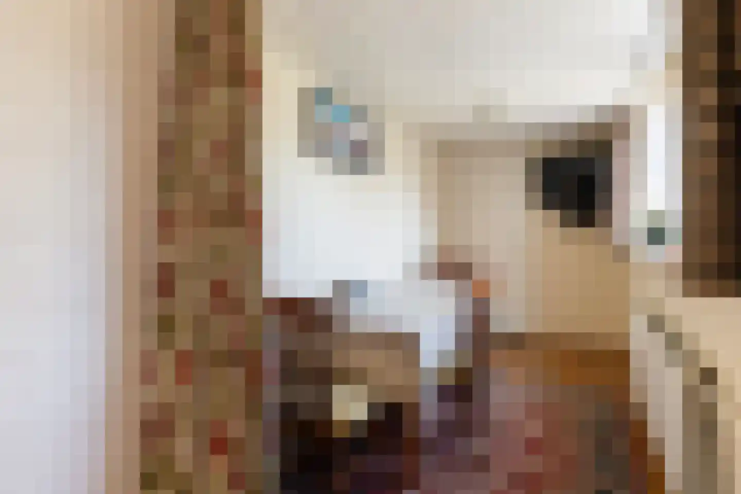 Van Hallstraat 26 Nunspeet thumbnail 14