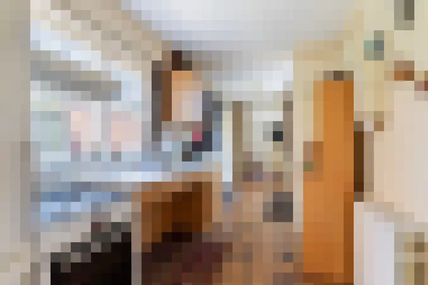 Van Hallstraat 26 Nunspeet thumbnail 15