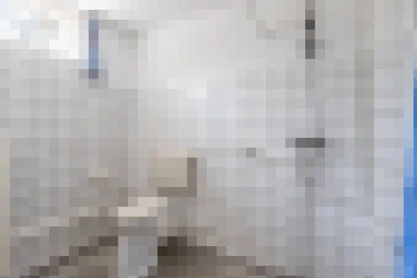 Van Hallstraat 26 Nunspeet thumbnail 22