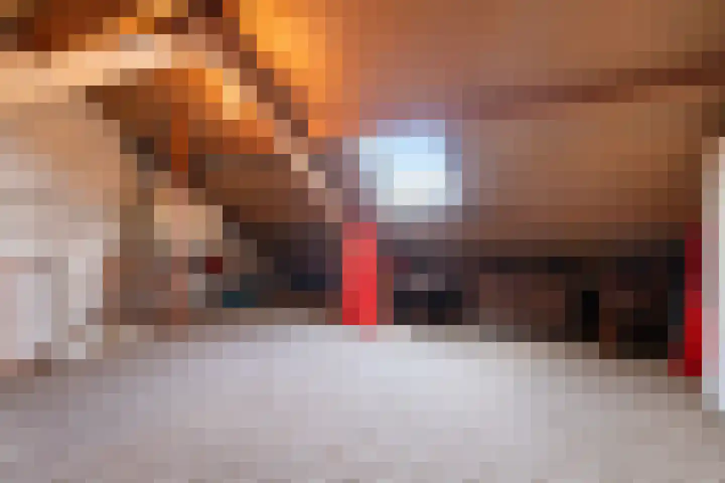 Van Hallstraat 26 Nunspeet thumbnail 24