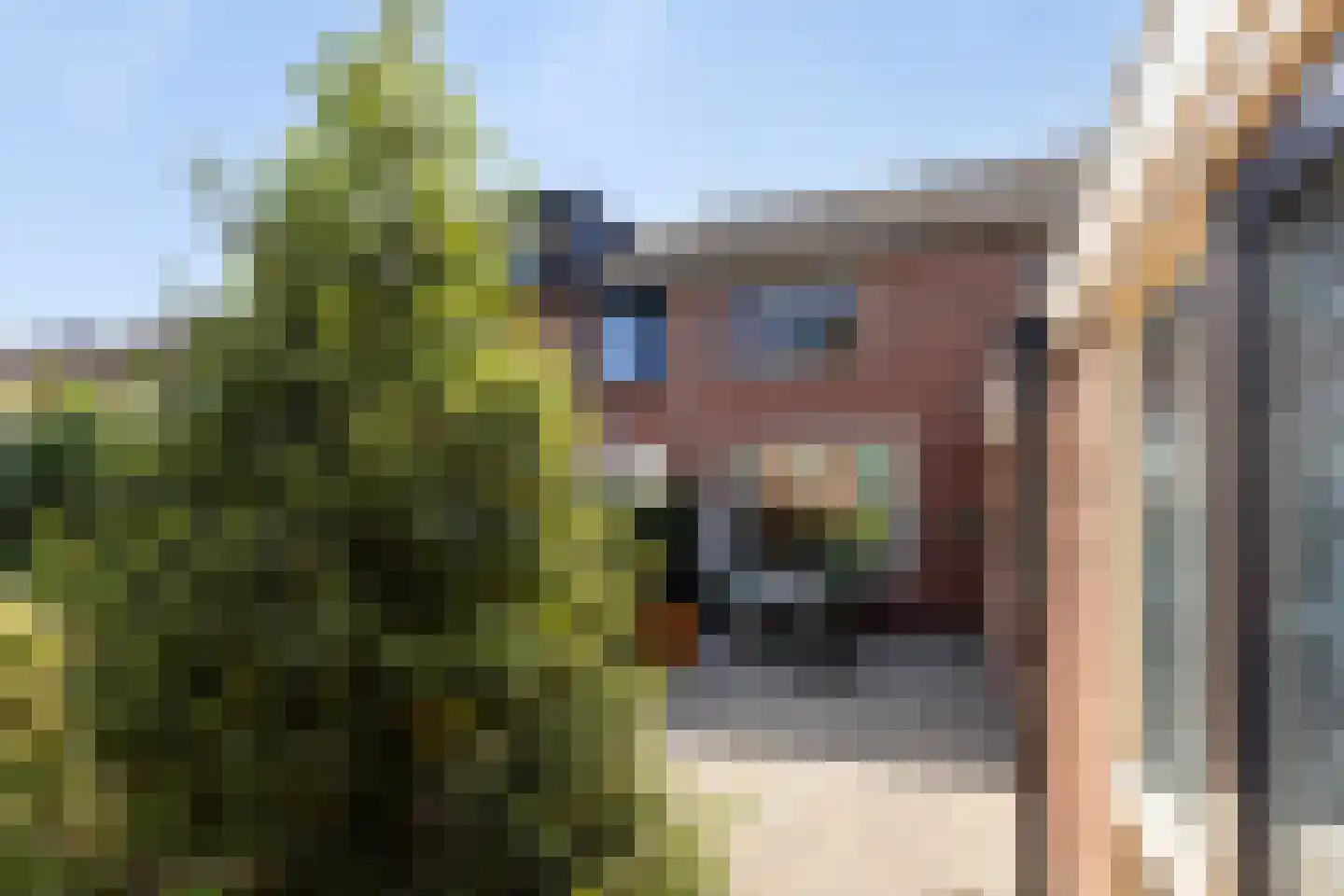 Van Hallstraat 26 Nunspeet thumbnail 27