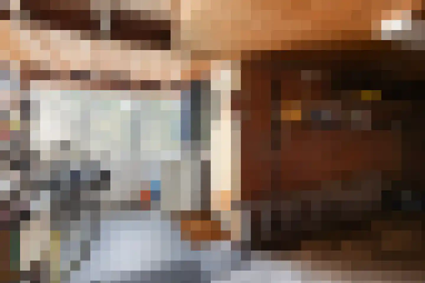 Van Hallstraat 26 Nunspeet thumbnail 30