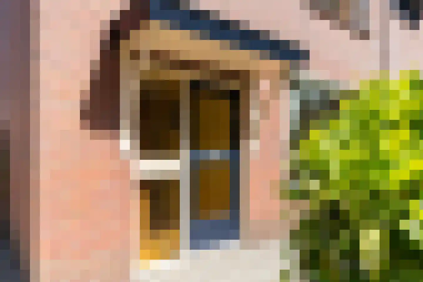 Van Hallstraat 26 Nunspeet thumbnail 5