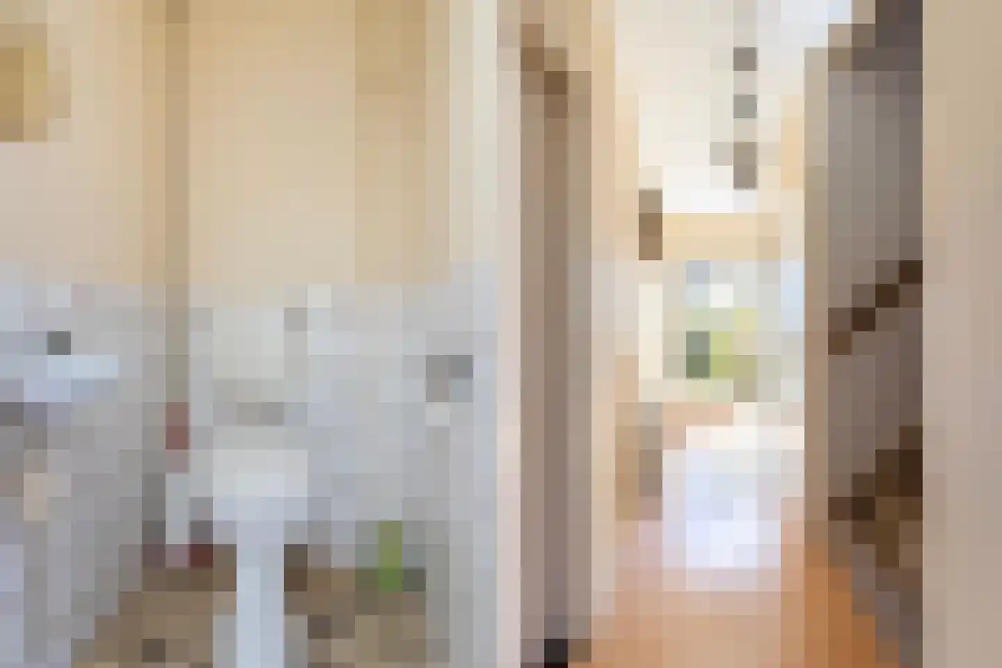 Van Hallstraat 26 Nunspeet thumbnail 6
