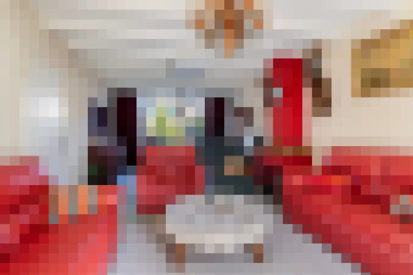 Van Hallstraat 26 Nunspeet thumbnail 9