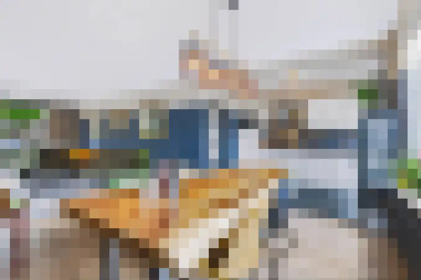 Van Hallstraat 28 Nunspeet thumbnail 11