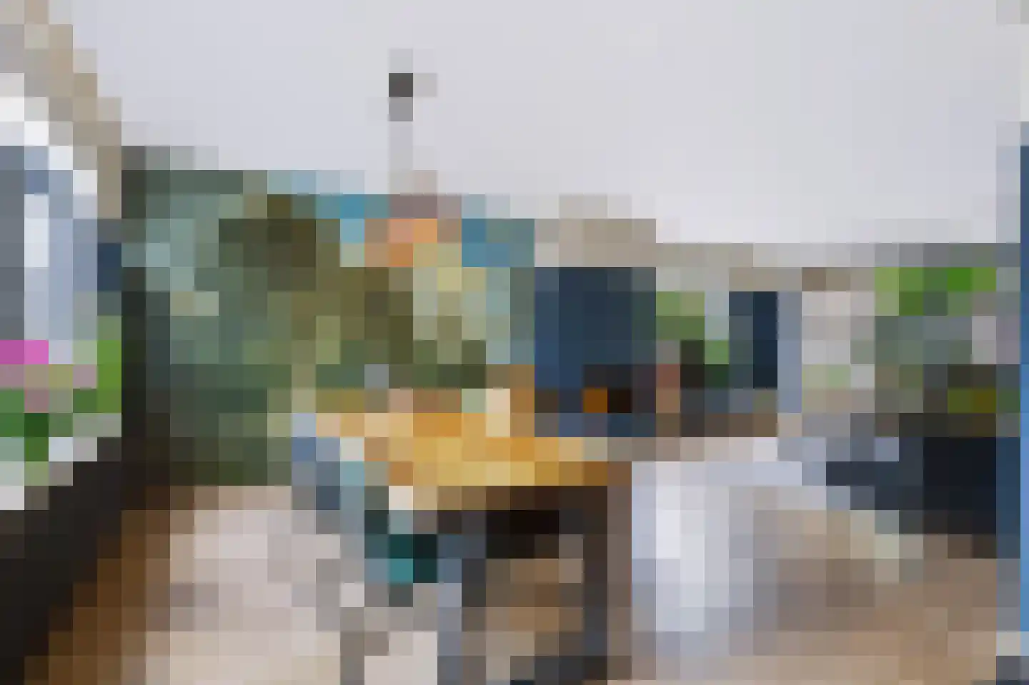 Van Hallstraat 28 Nunspeet thumbnail 12
