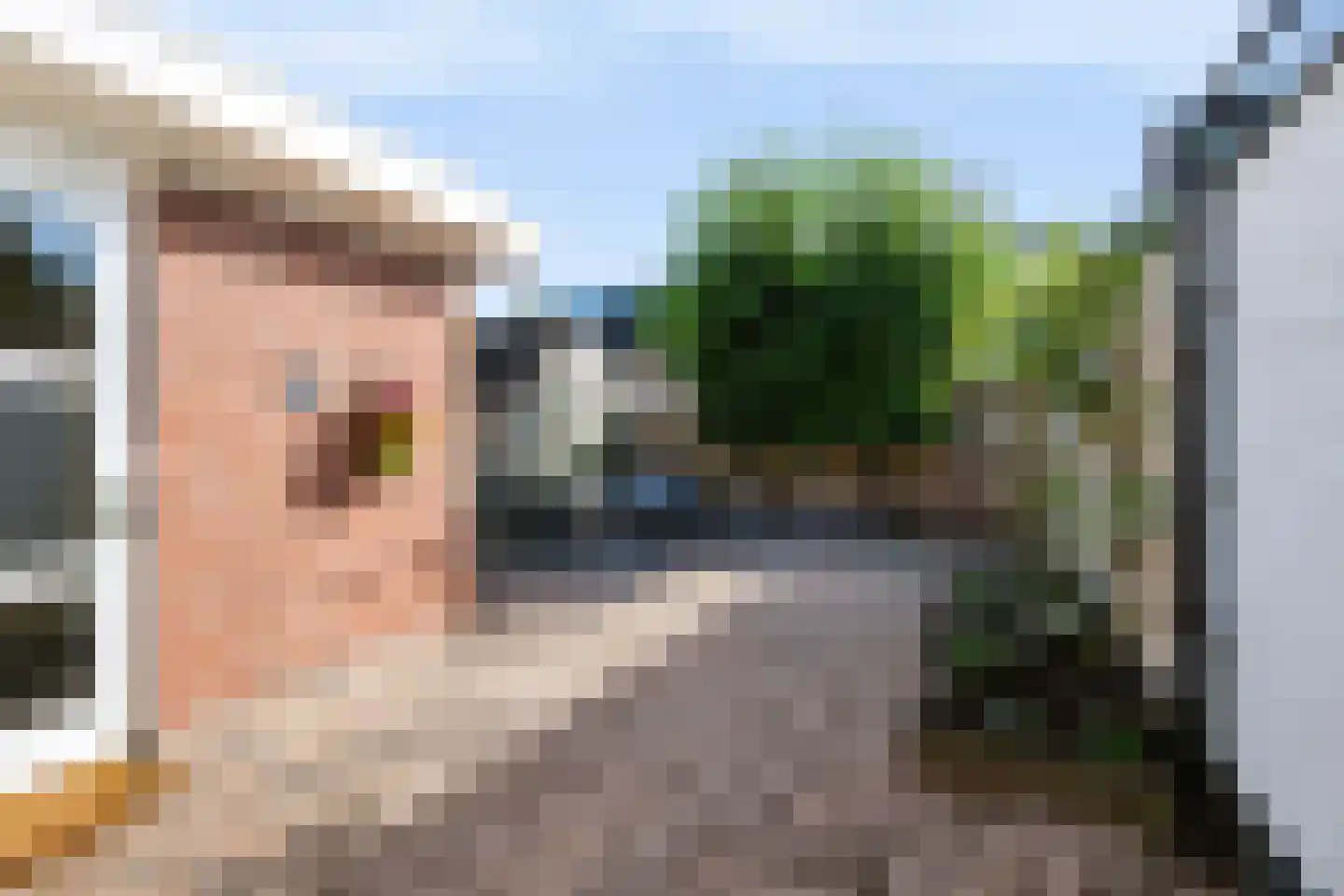 Van Hallstraat 28 Nunspeet thumbnail 33