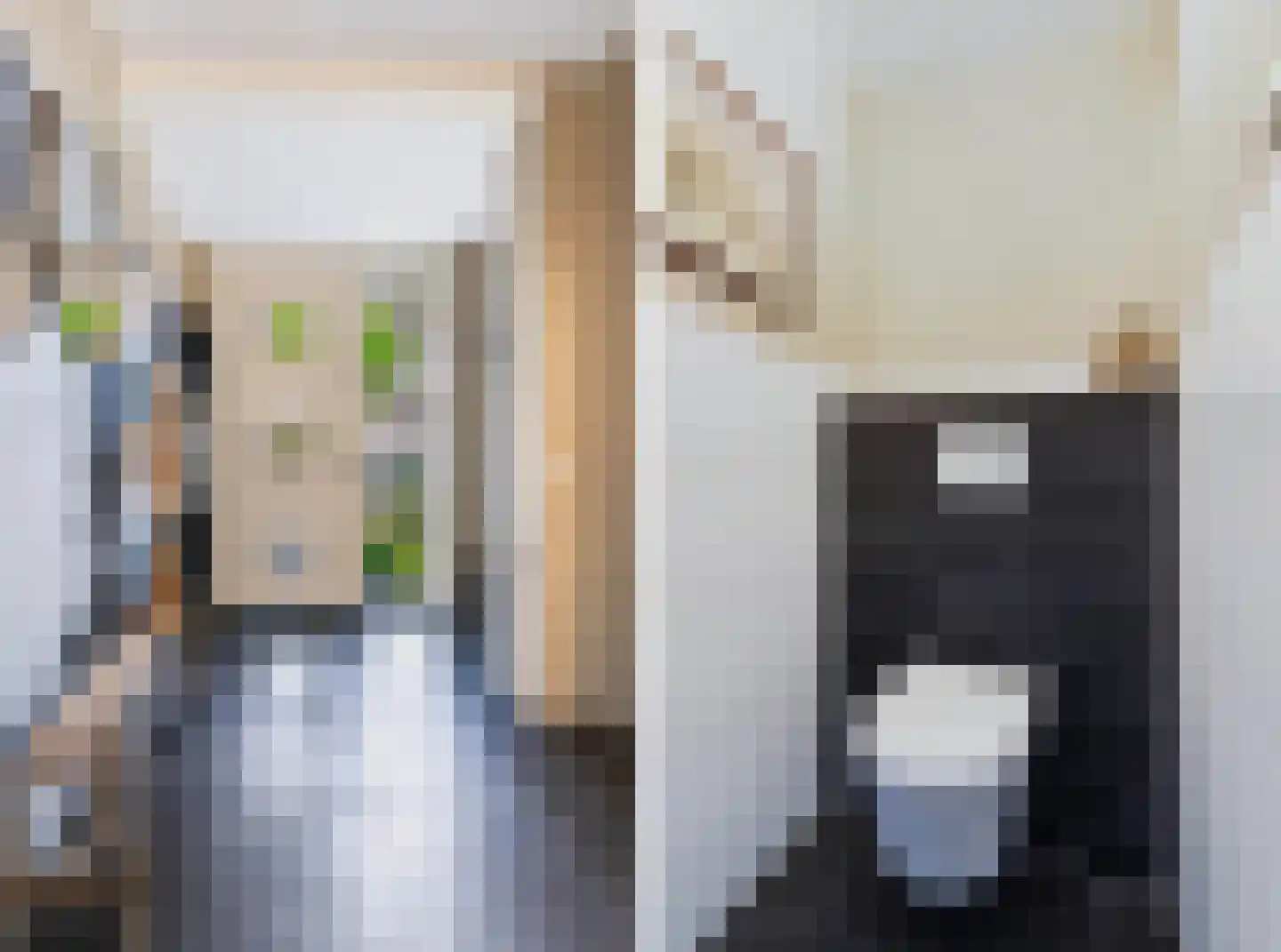 Van Hallstraat 28 Nunspeet thumbnail 5