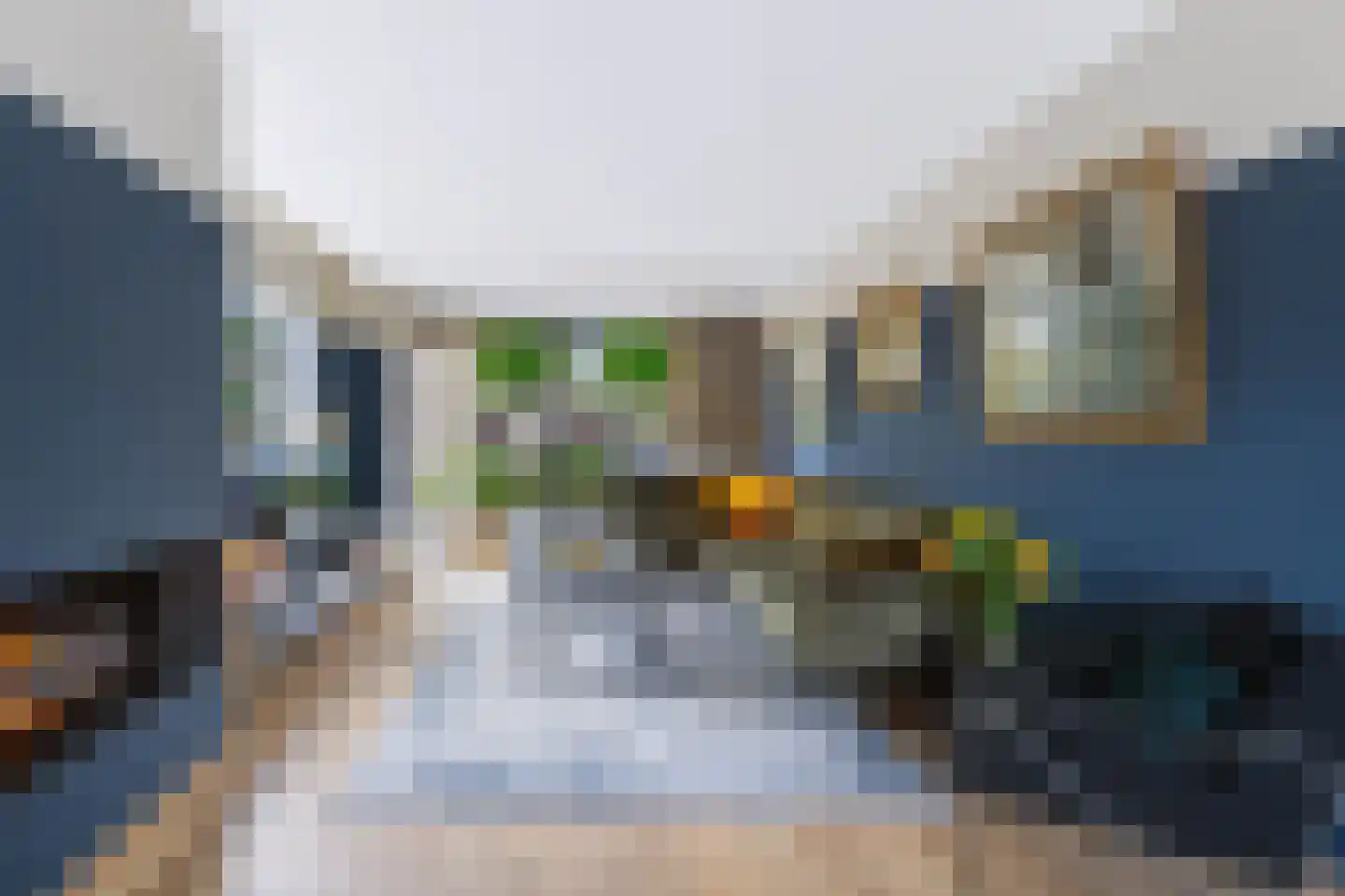 Van Hallstraat 28 Nunspeet thumbnail 8