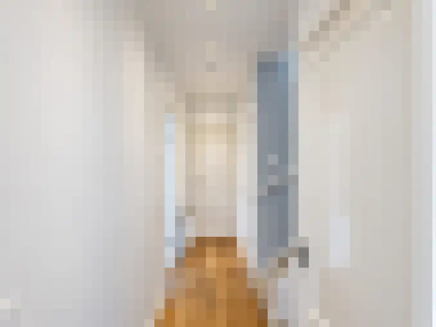 Van Hallstraat 282 Amsterdam thumbnail 16