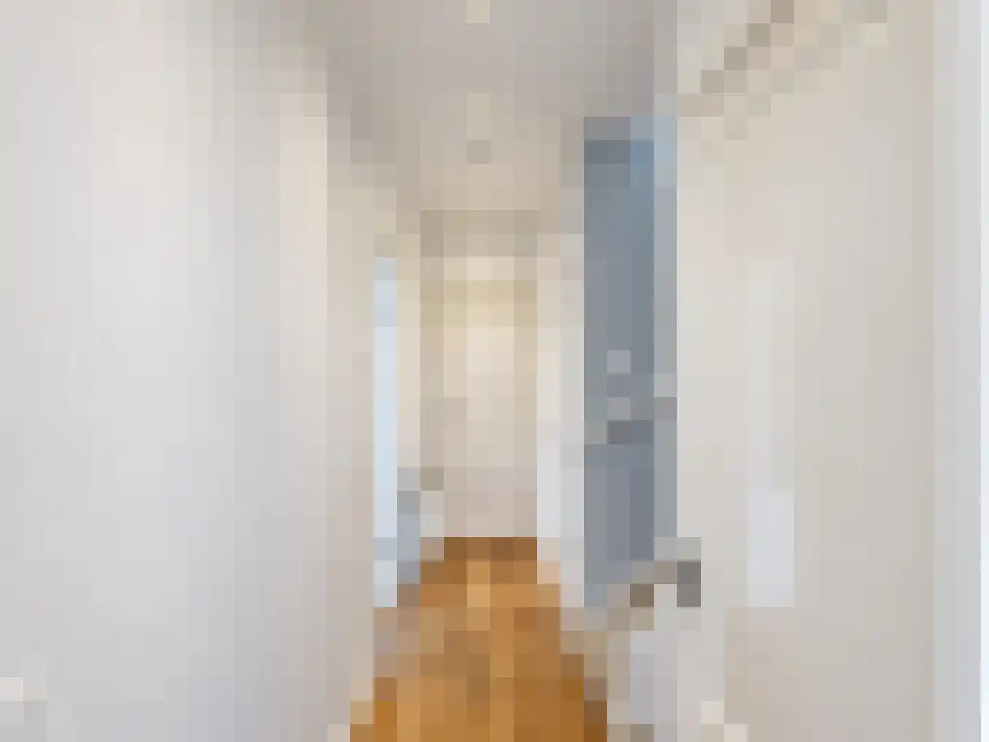 Van Hallstraat 282 Amsterdam thumbnail 17