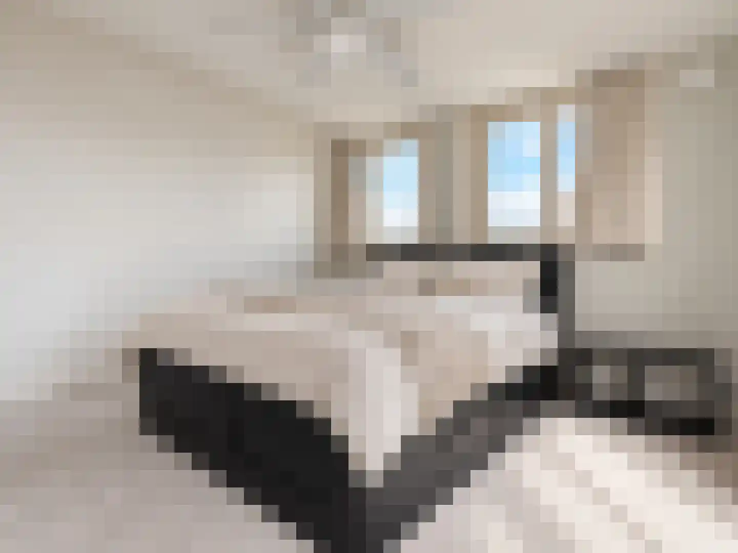 Van Hallstraat 282 Amsterdam thumbnail 22