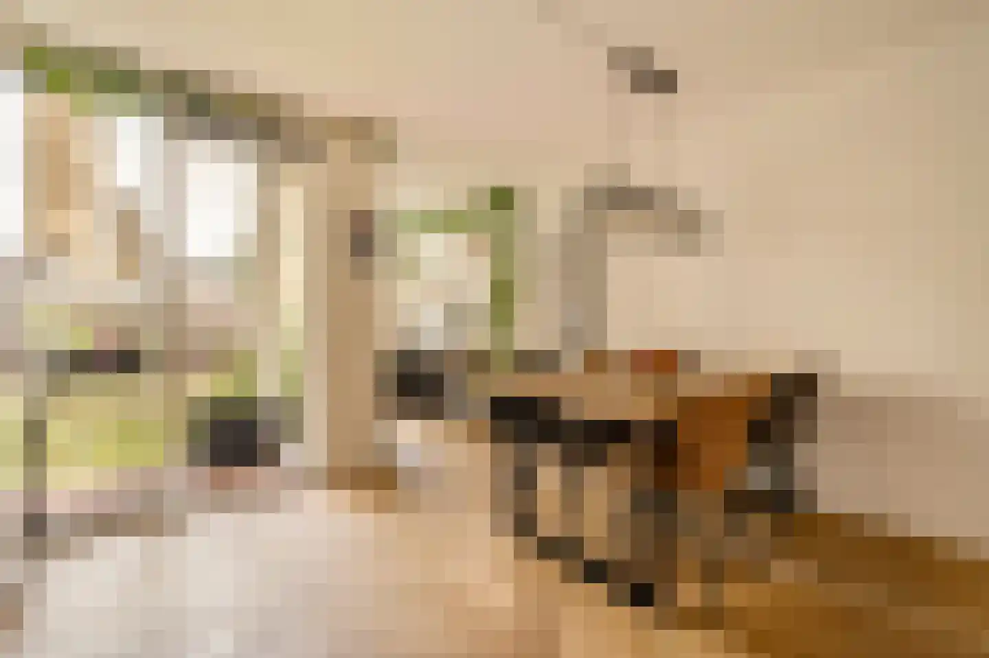 Van Hallstraat 3 2 Amsterdam thumbnail 13