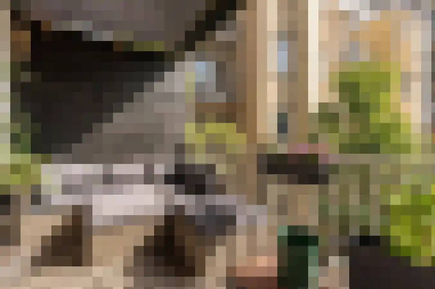 Van Hallstraat 3 2 Amsterdam thumbnail 18