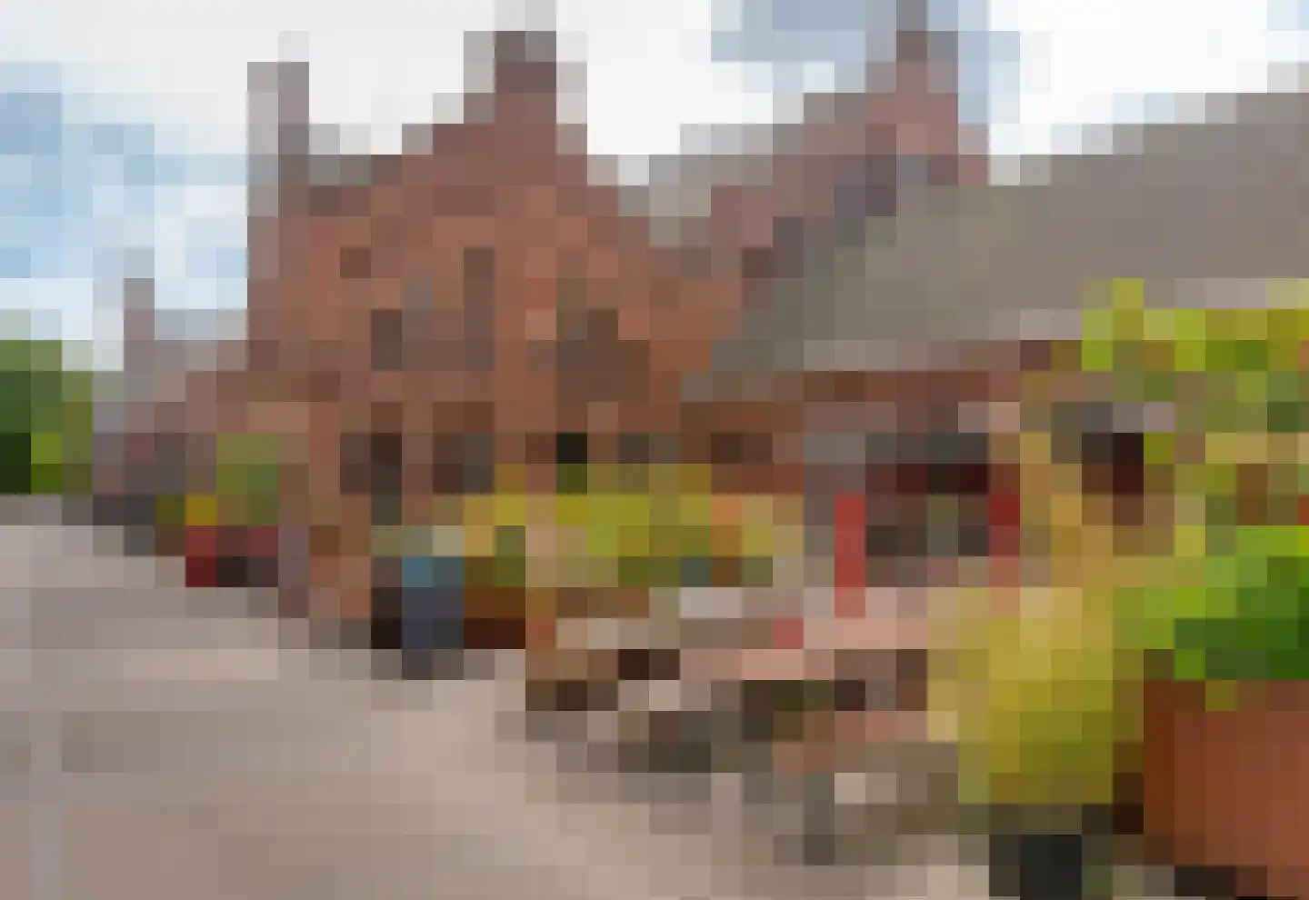 Van Hallstraat 3 2 Amsterdam thumbnail 37