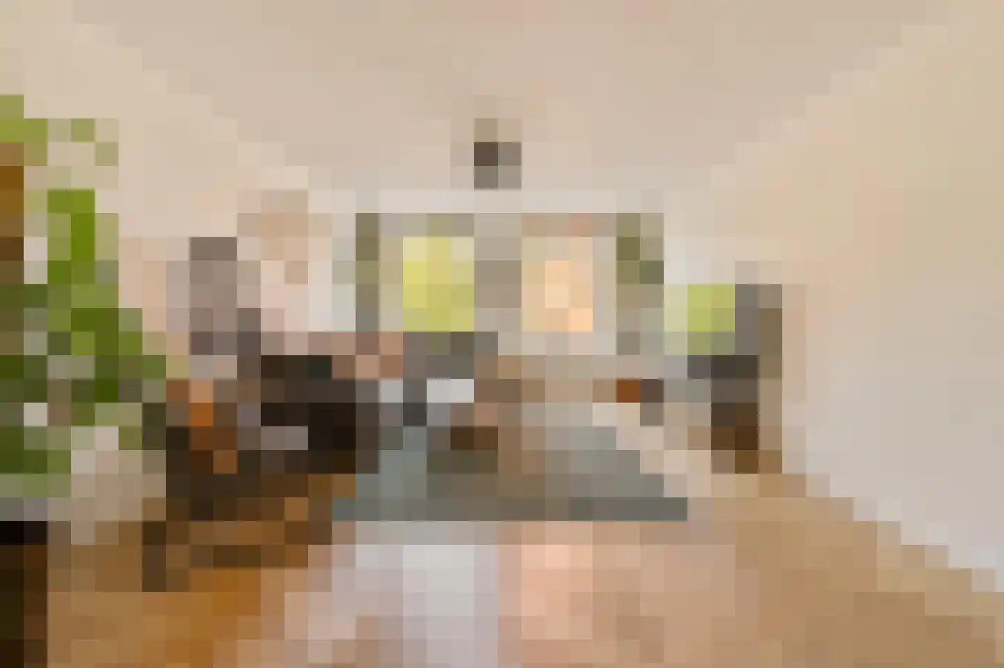 Van Hallstraat 3 2 Amsterdam thumbnail 4