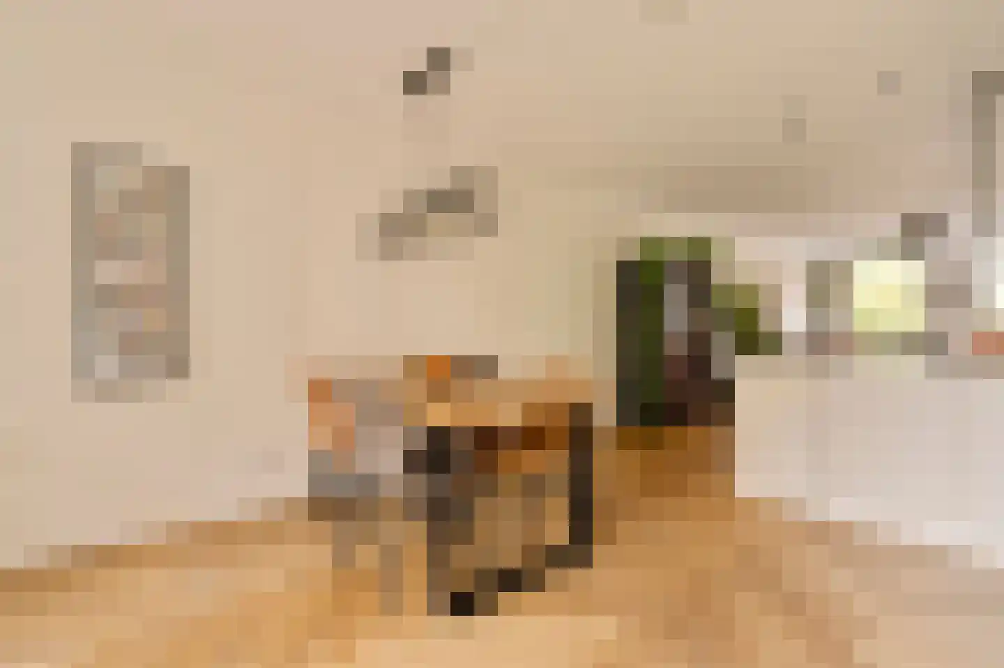 Van Hallstraat 3 2 Amsterdam thumbnail 9