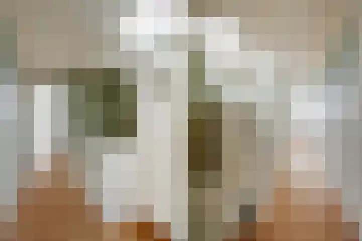 Van Hallstraat 33 1 Amsterdam thumbnail 33