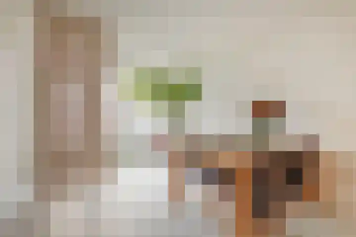 Van Hallstraat 33 1 Amsterdam thumbnail 8