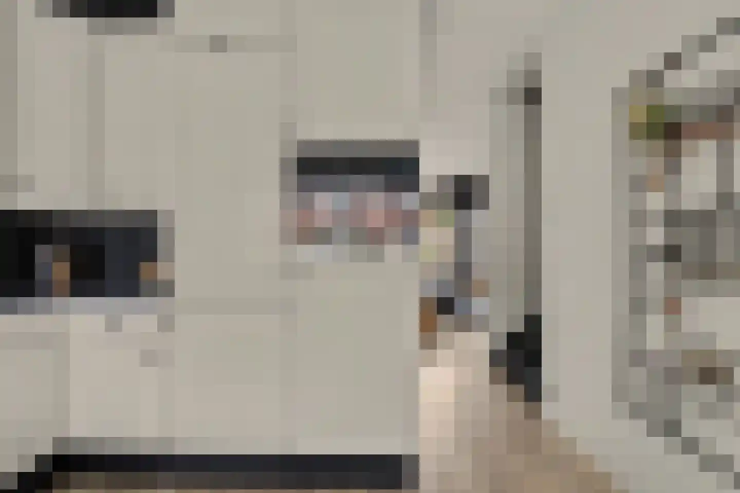 Van Hallstraat 38 Goes thumbnail 12
