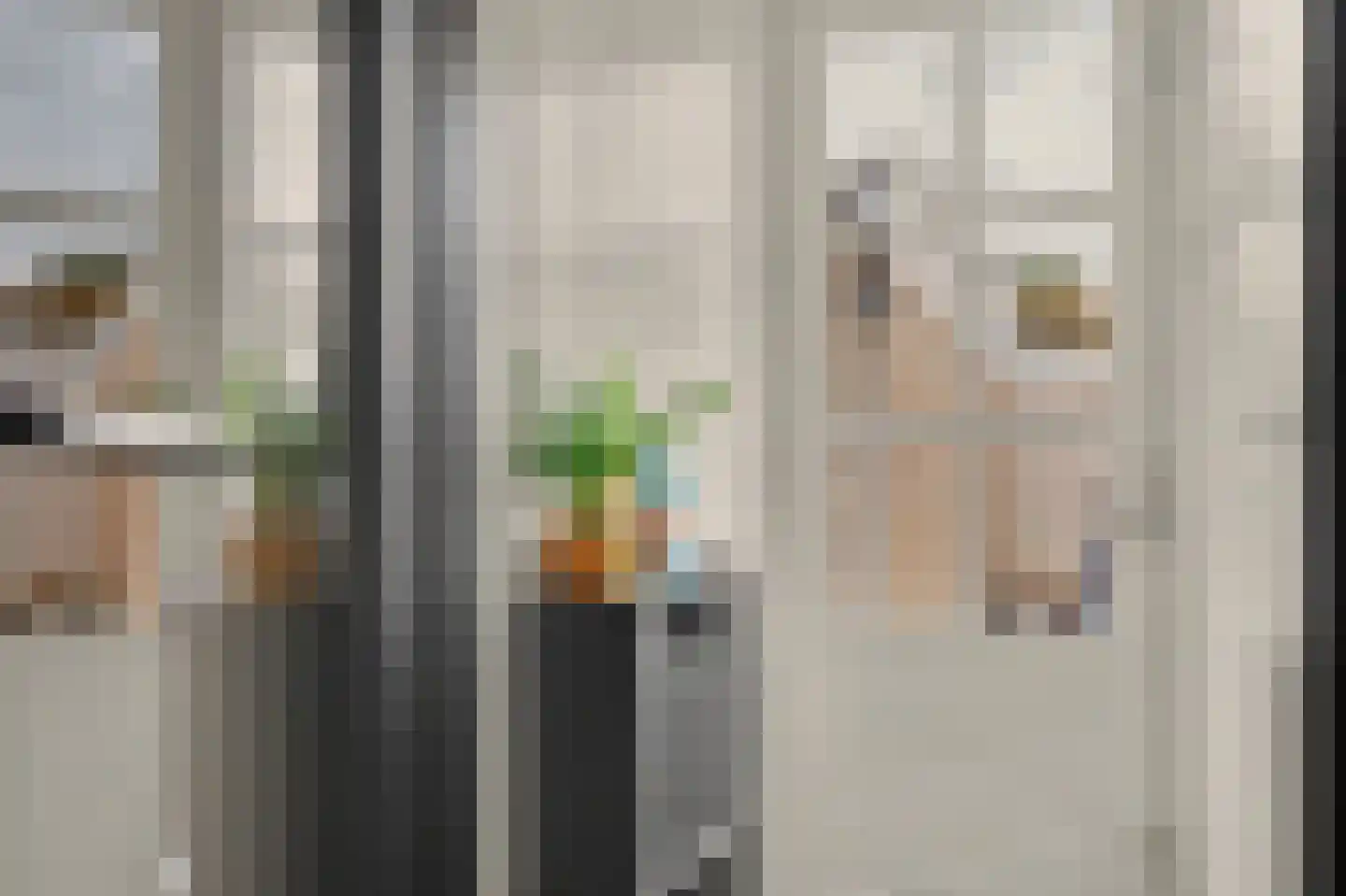 Van Hallstraat 38 Goes thumbnail 13