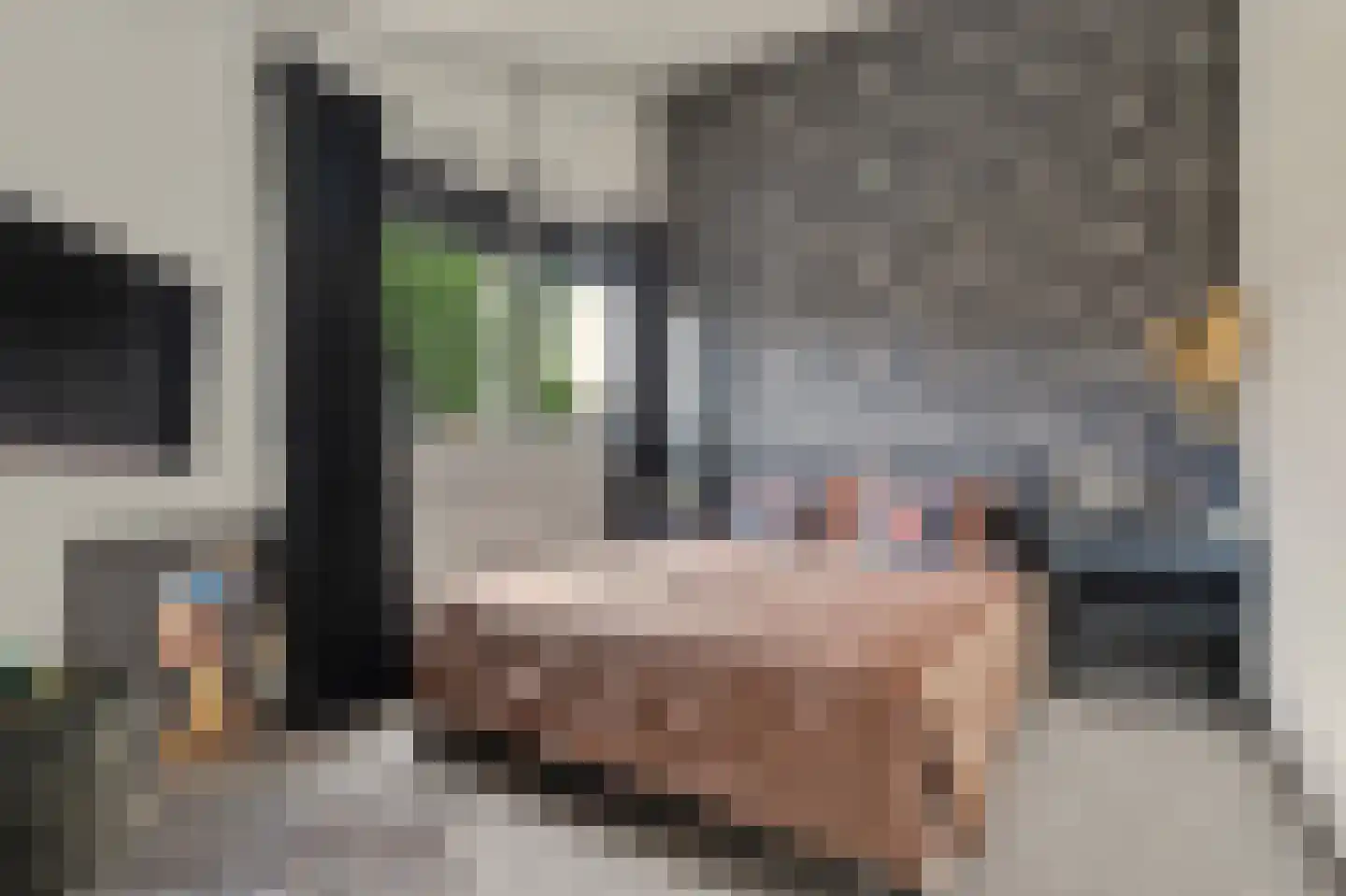 Van Hallstraat 38 Goes thumbnail 16