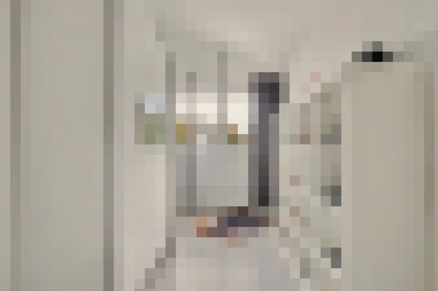 Van Hallstraat 38 Goes thumbnail 18