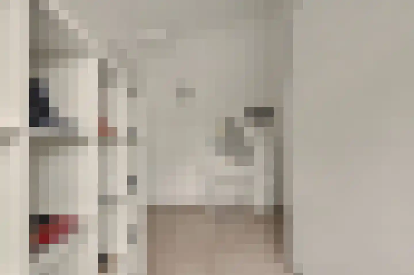 Van Hallstraat 38 Goes thumbnail 19