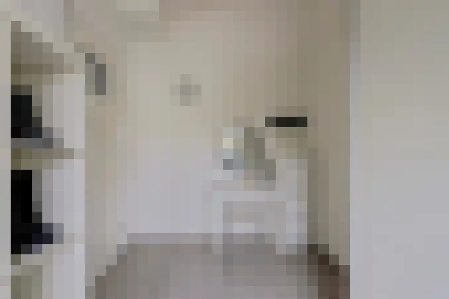 Van Hallstraat 38 Goes thumbnail 20