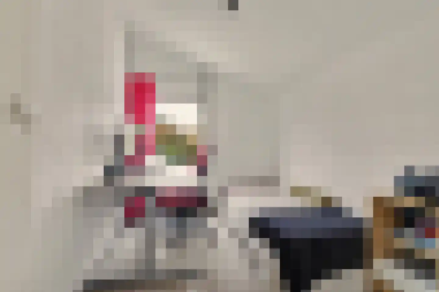 Van Hallstraat 38 Goes thumbnail 21
