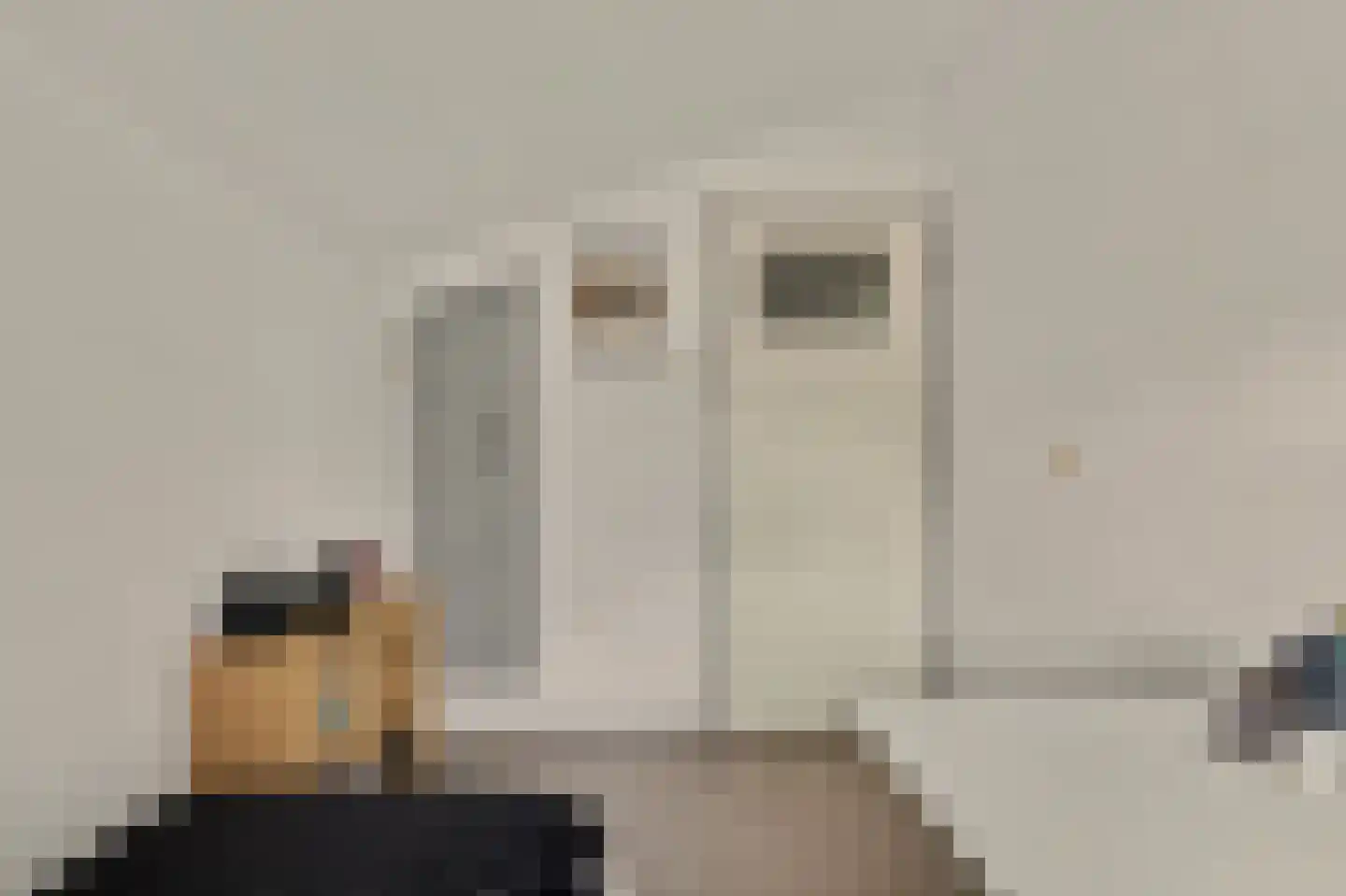Van Hallstraat 38 Goes thumbnail 22