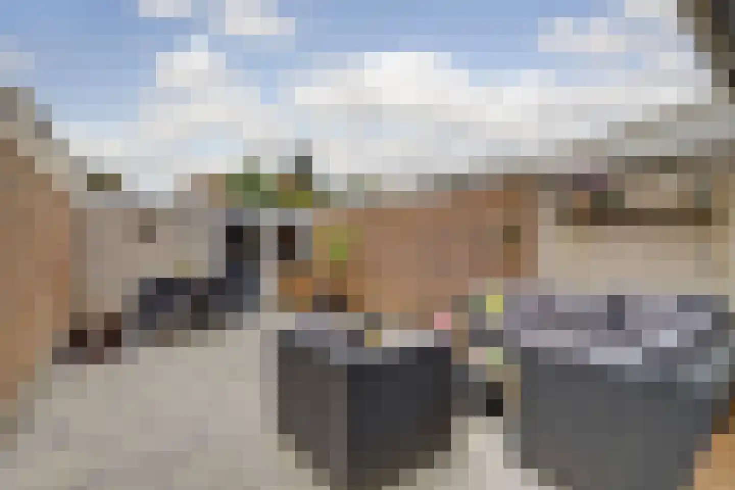 Van Hallstraat 38 Goes thumbnail 25